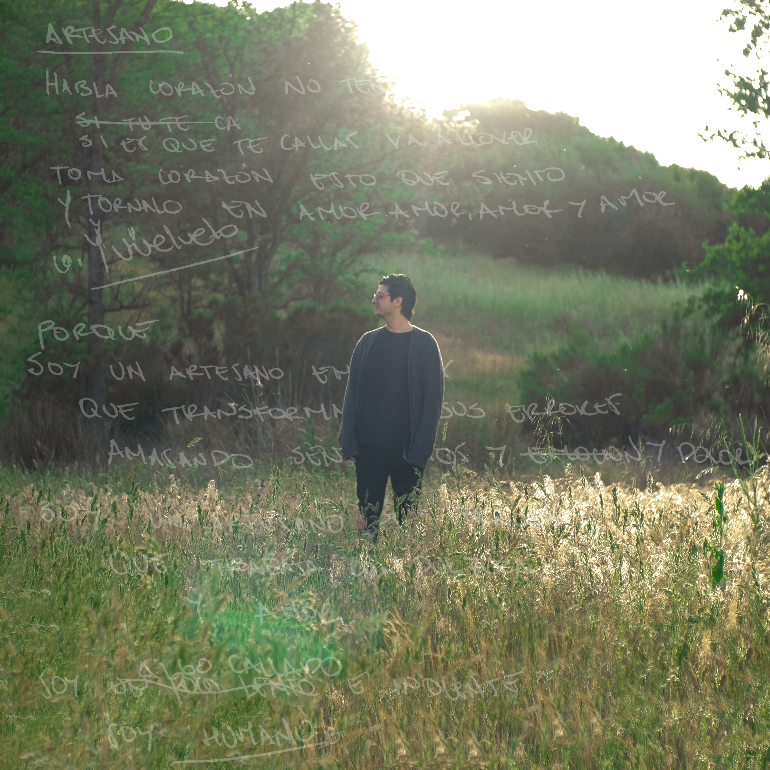 Portada del álbum Artesano